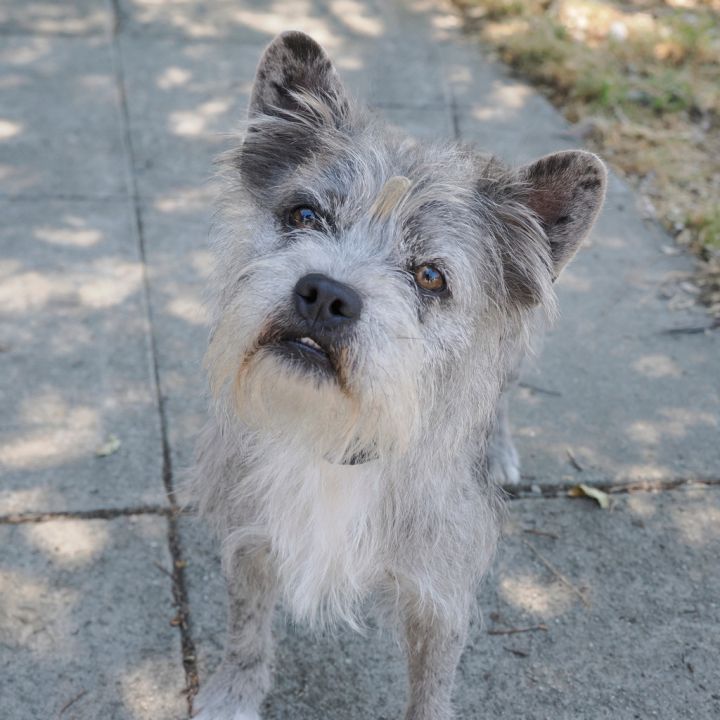 MIKLO 3