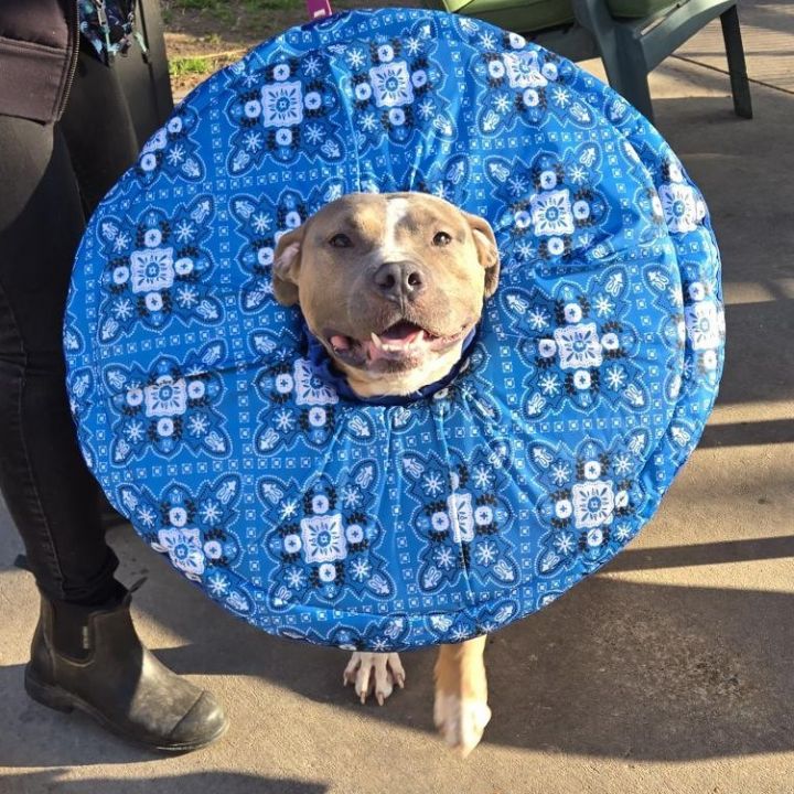 Mr. Freeze 4