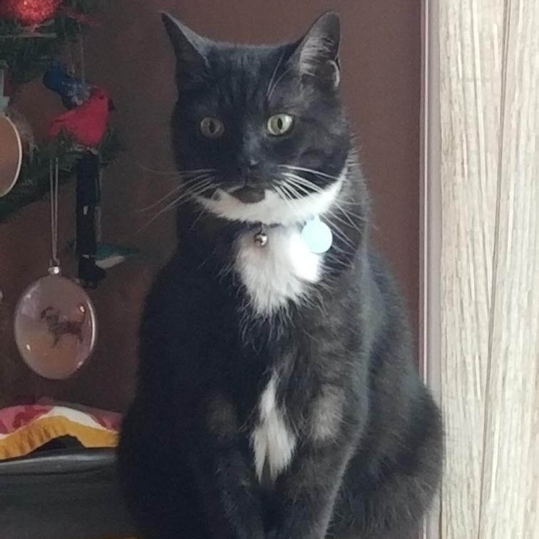 Dexter