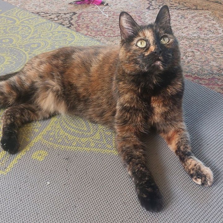 Nela 4