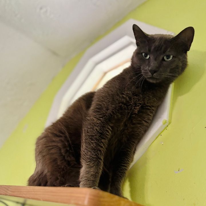 Micah 1