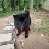 Maya photo 2