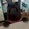 Maya photo 3