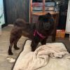 Maya photo 4