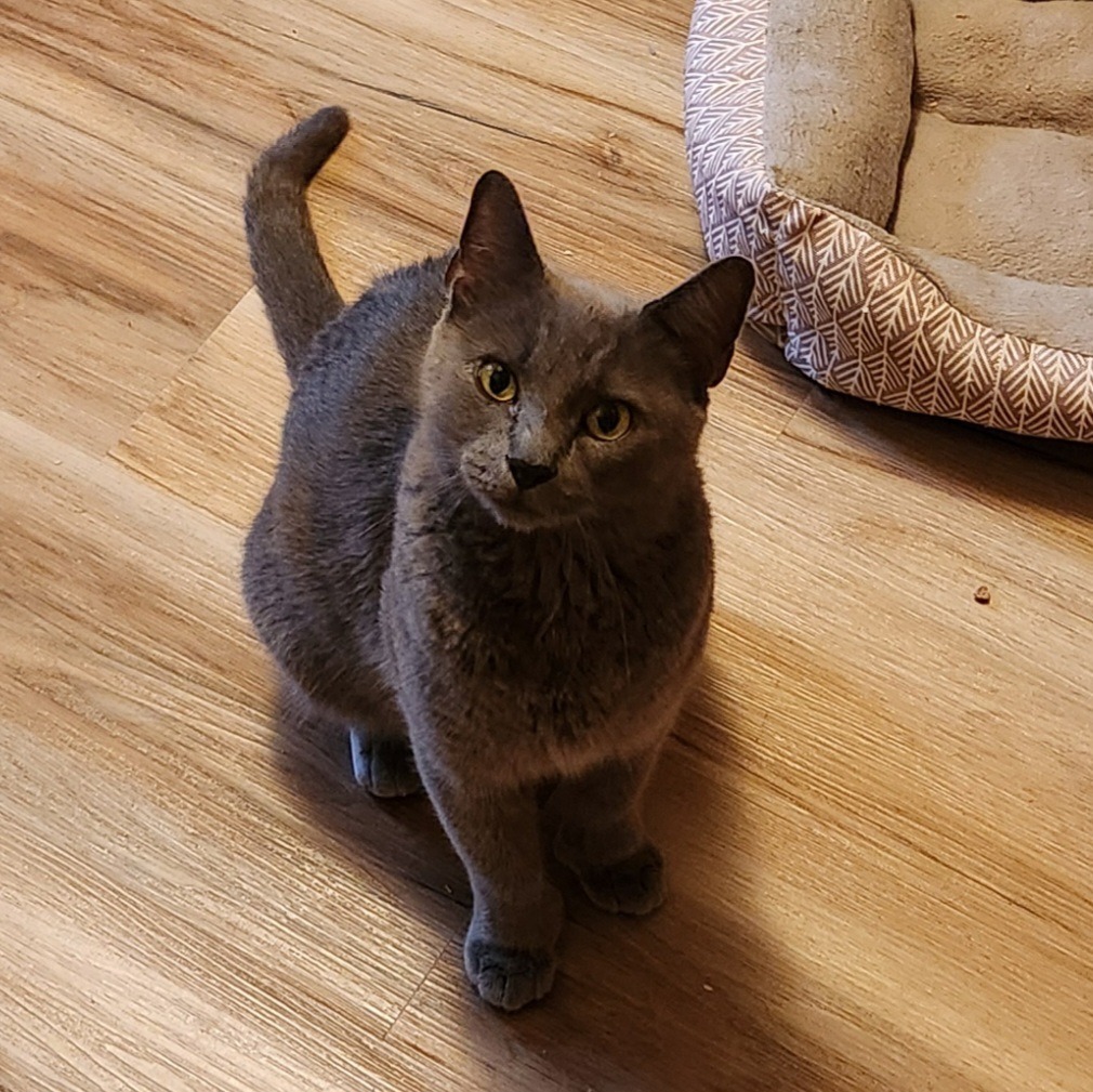 Ella