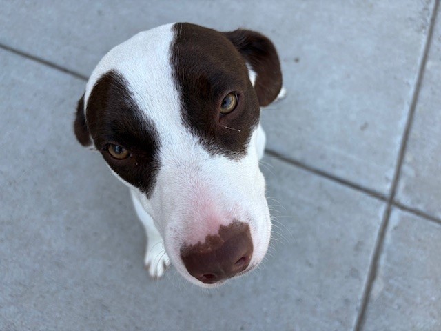 LULU