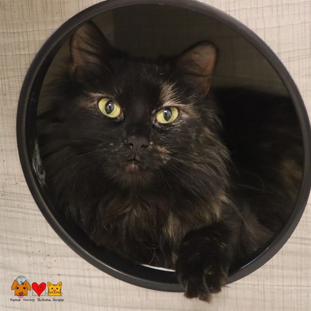 LUNA