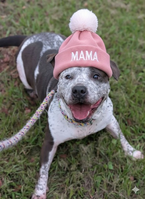 BIG MAMA