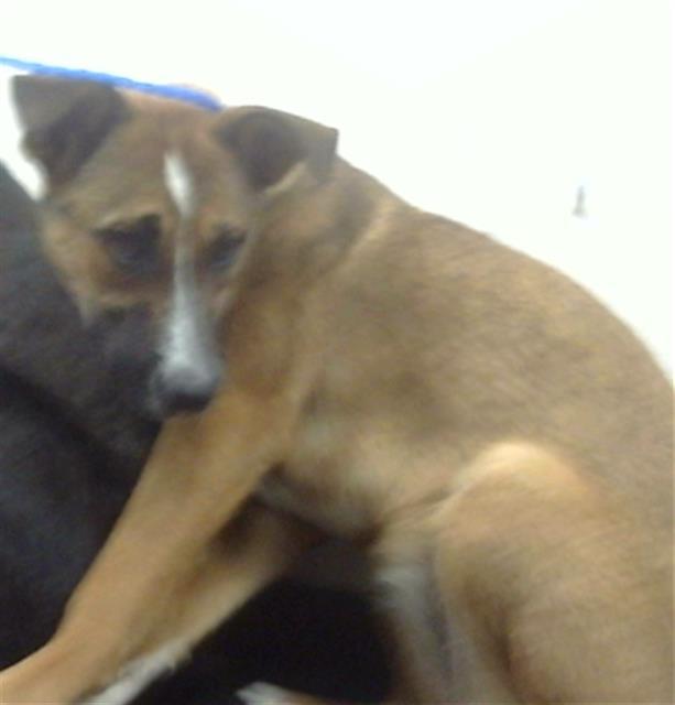 ROXY