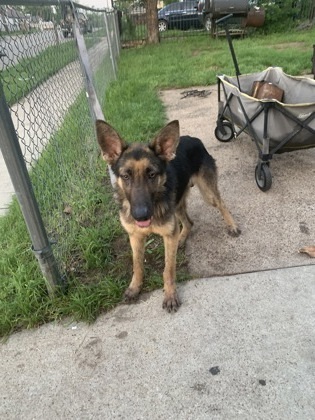 Gus Gus photo 1