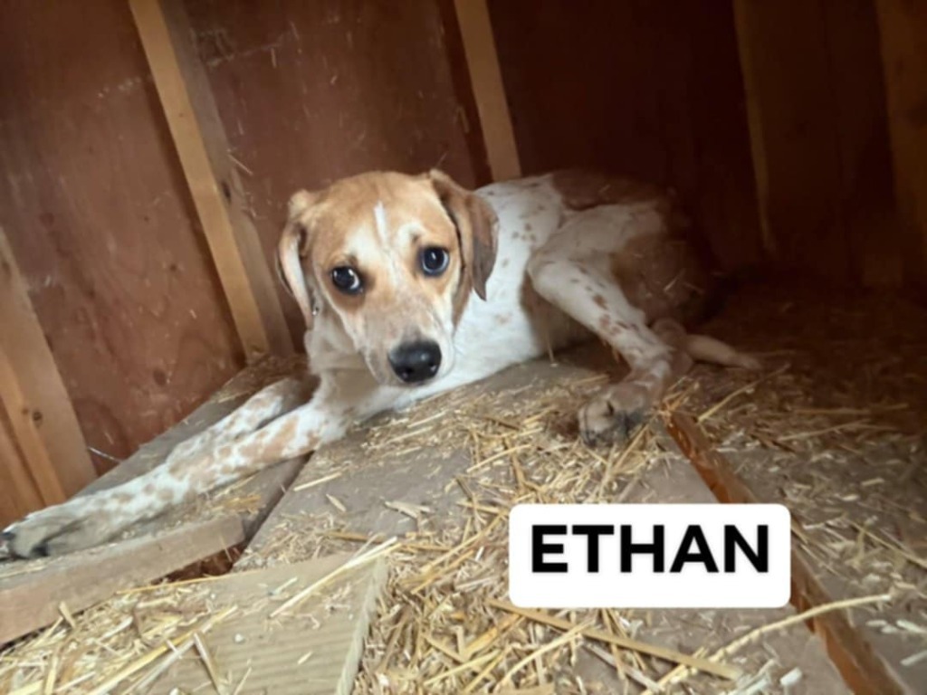 Ethan