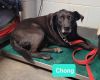 Chong-Sponsored photo 1
