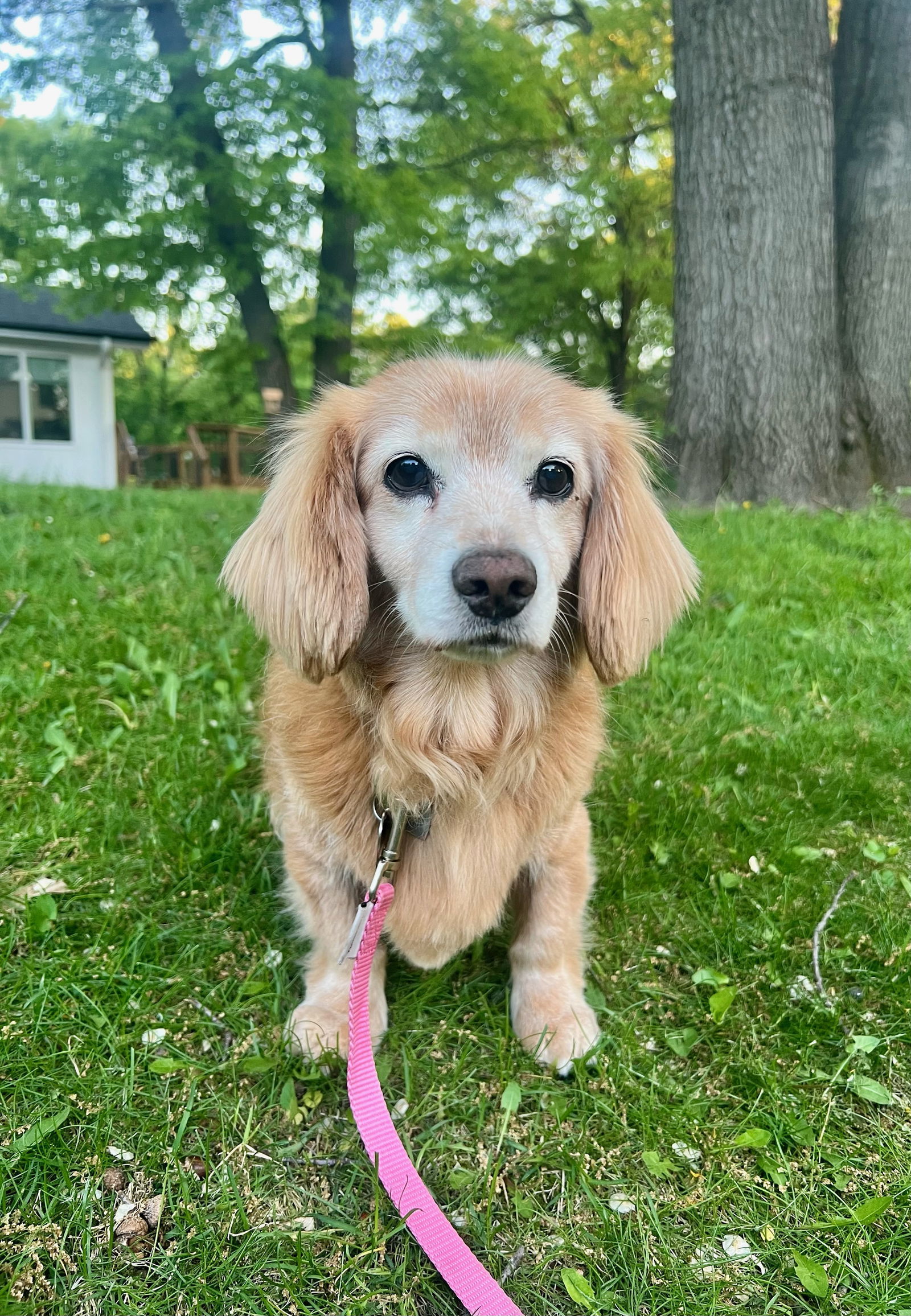 Mimi