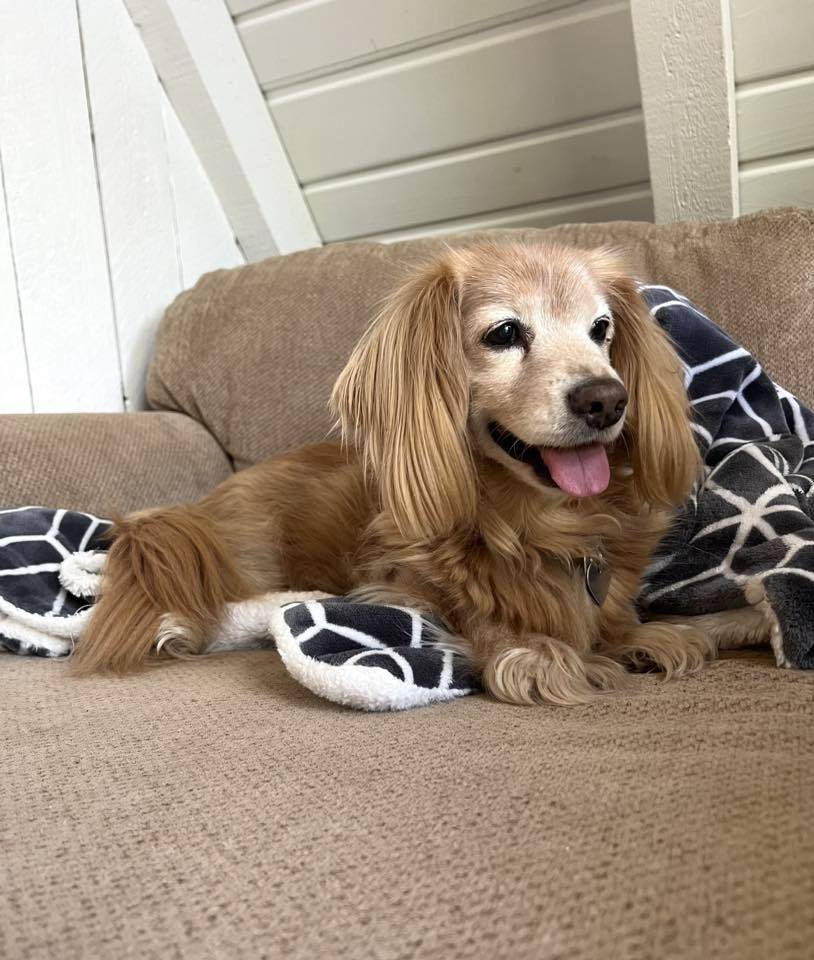 Mimi