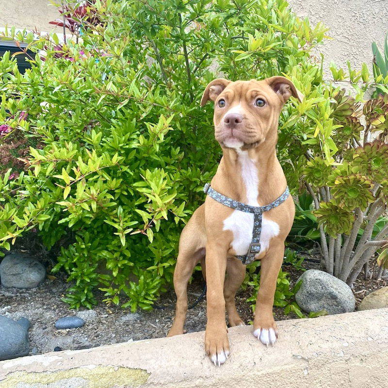 Amber aka Sneezy
