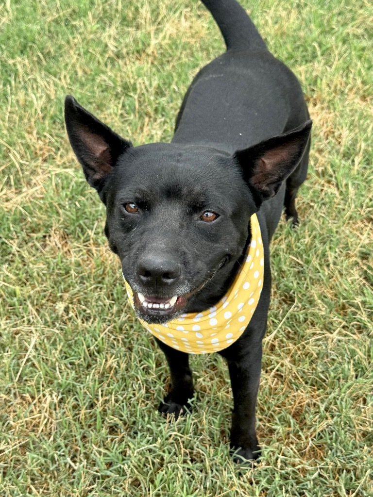 Remi