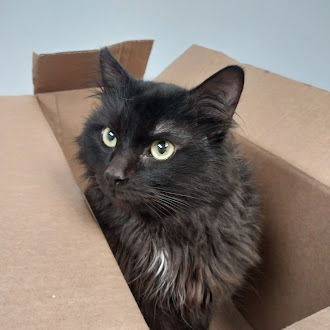 Meowmanator