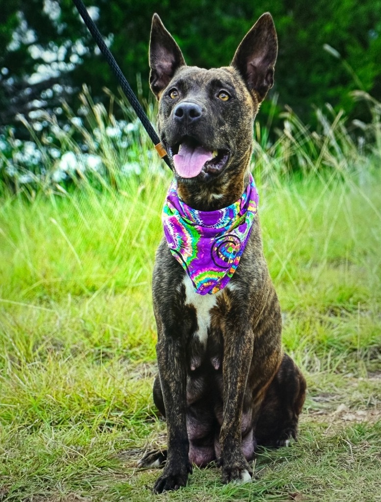 Violet