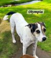 Olympia photo 2