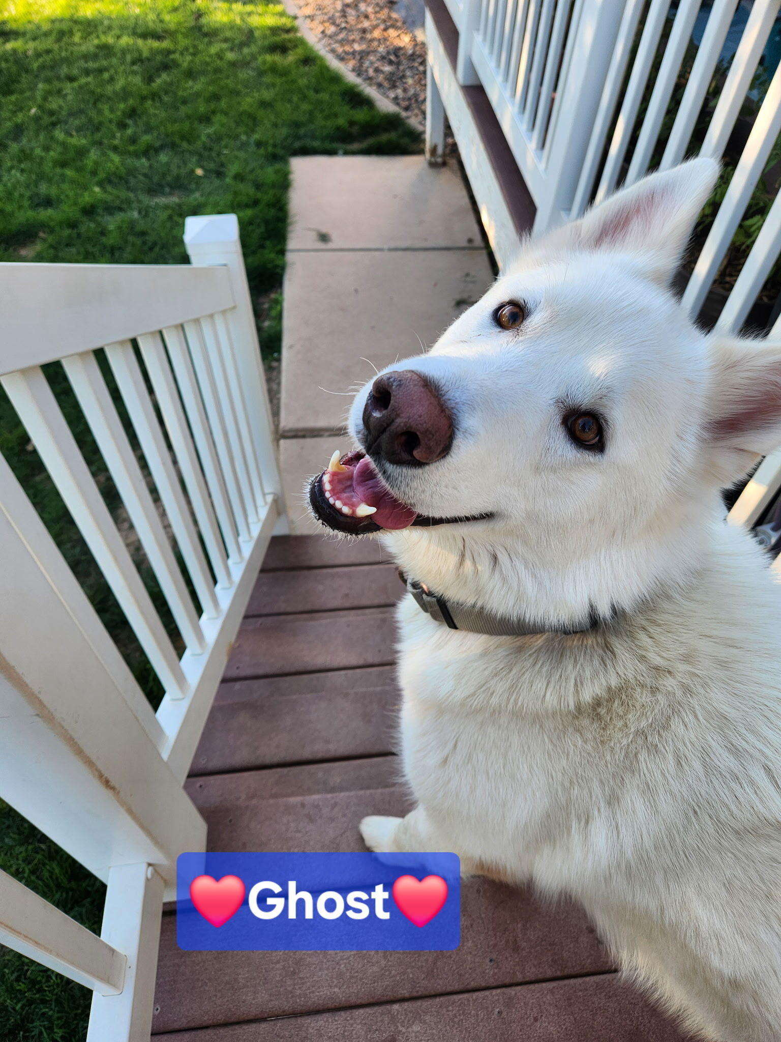 Ghost