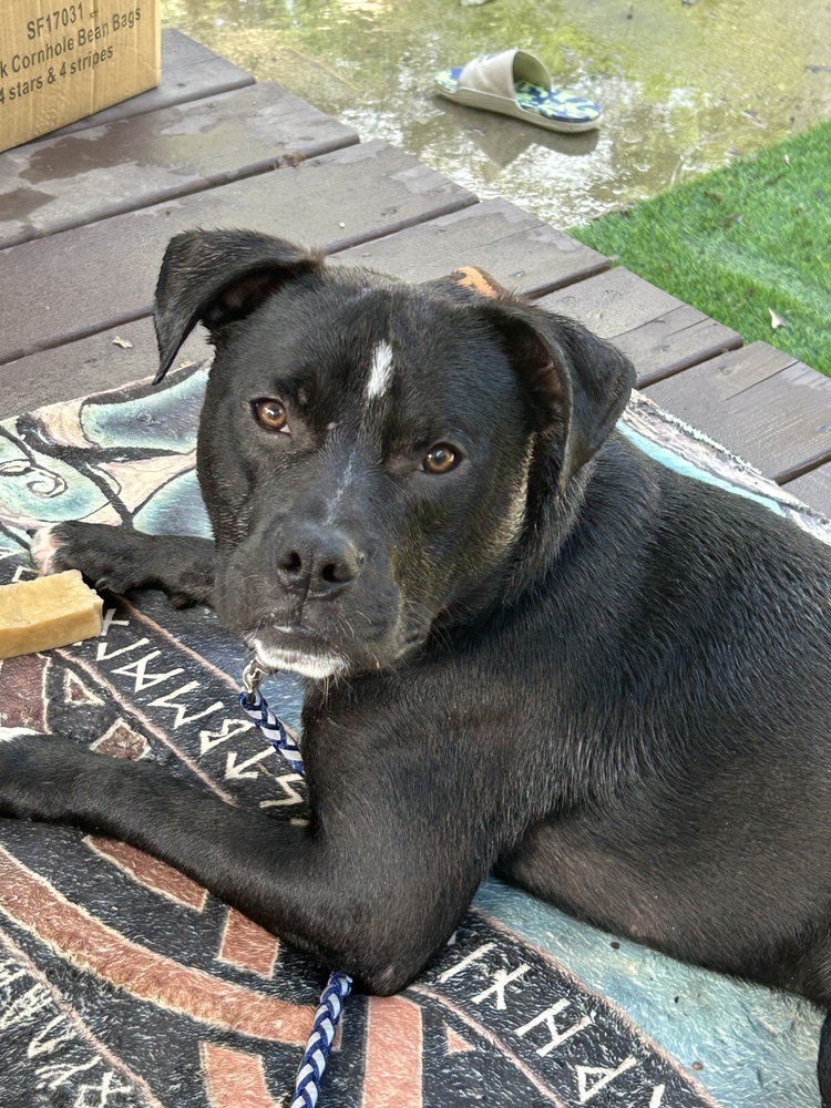Ralphie