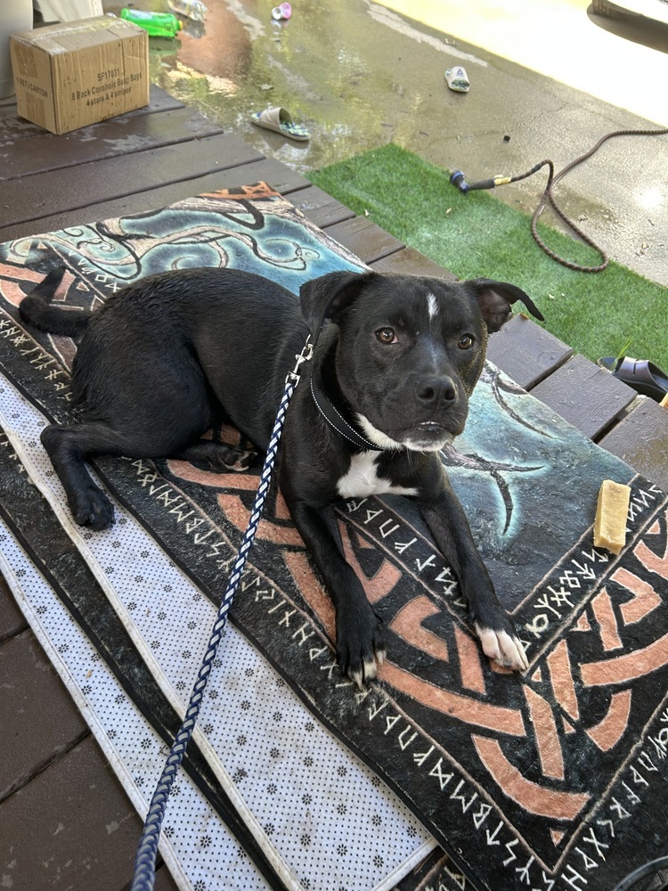 Ralphie