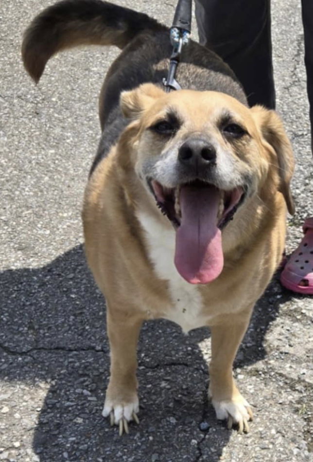 Cyrus: Not At the Shelter (Kendra)