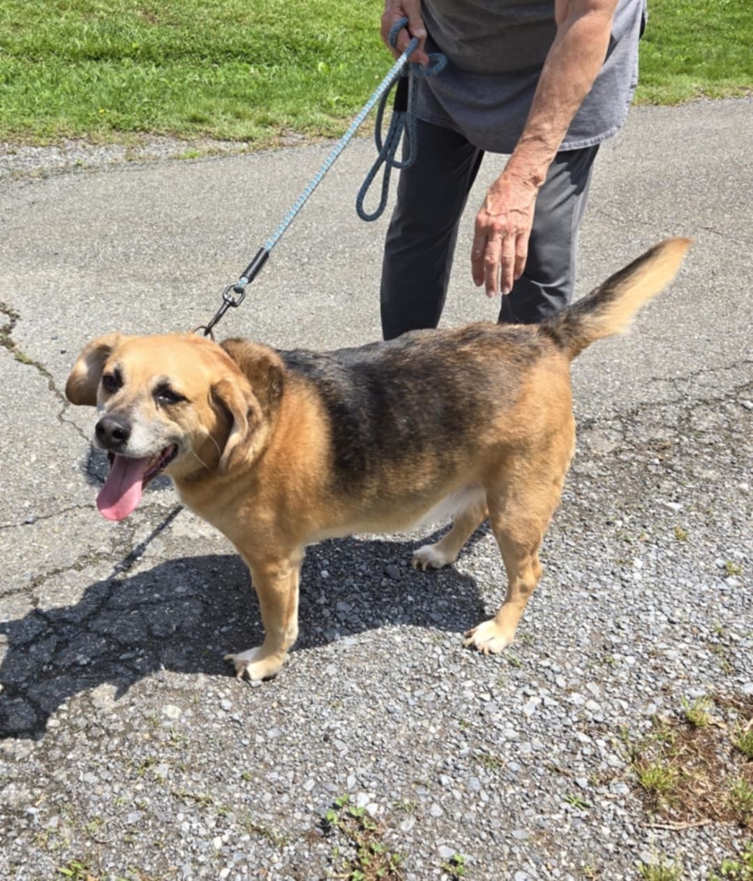Cyrus: Not At the Shelter (Kendra)