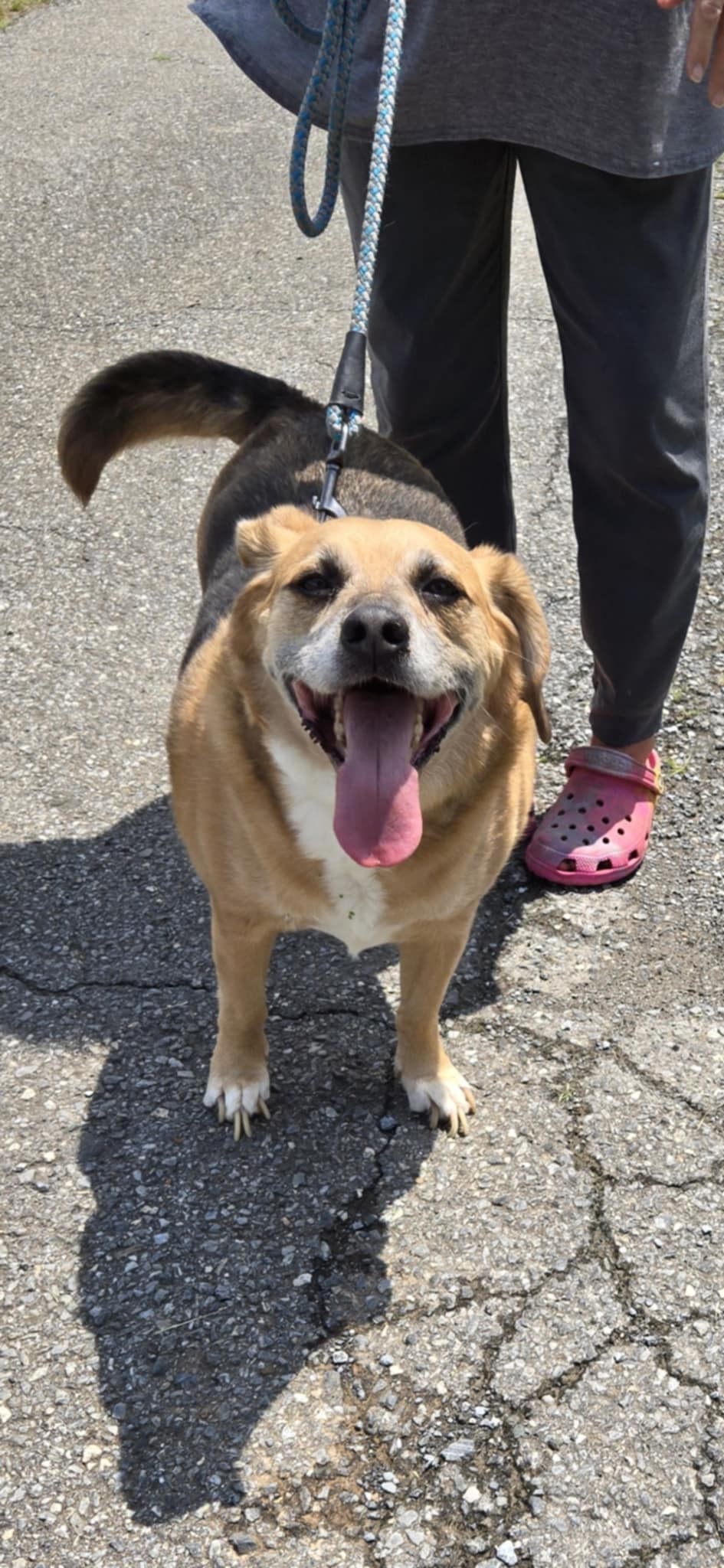 Cyrus: Not At the Shelter (Kendra)