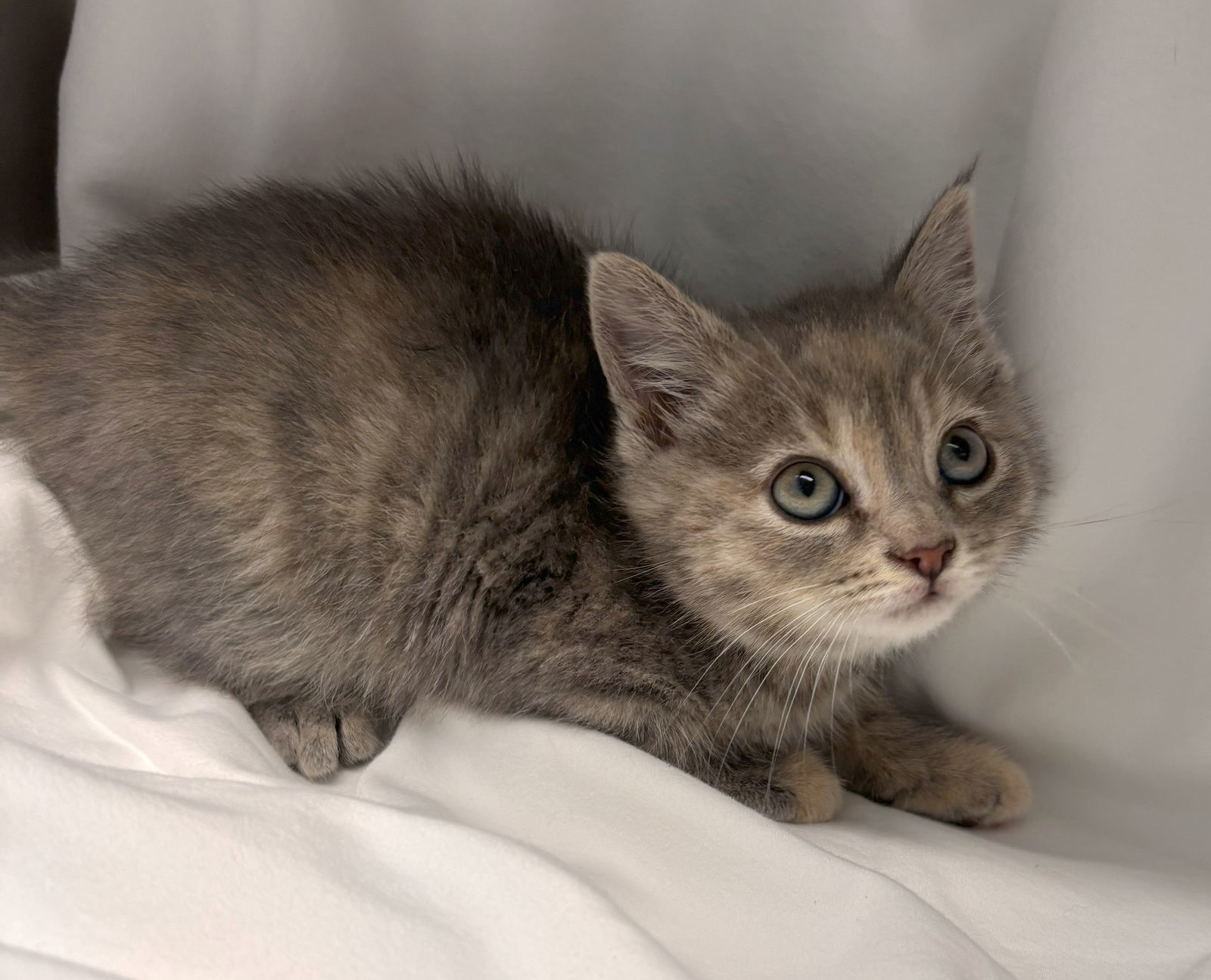 Kiki: At shelter