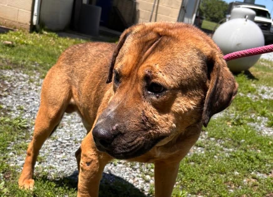 Harry: At shelter