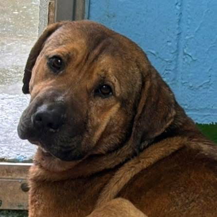 Harry: At shelter