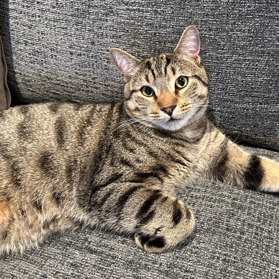 Luna