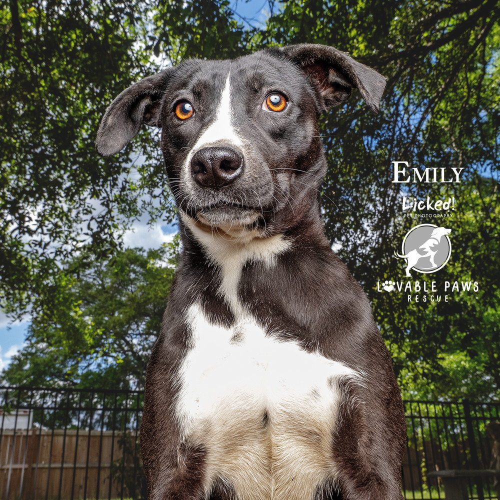 Emily