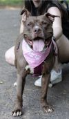 Brandy photo 5