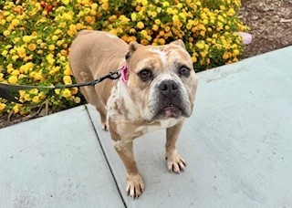 Fiona*