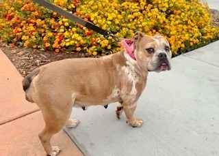Fiona*