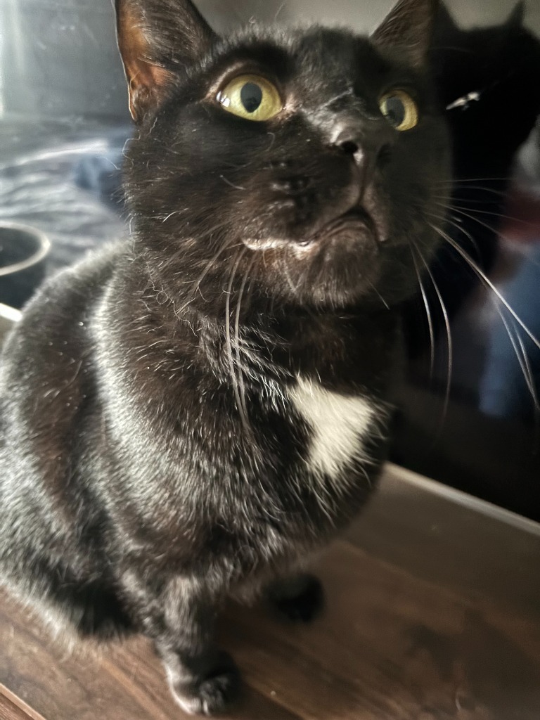 Gary