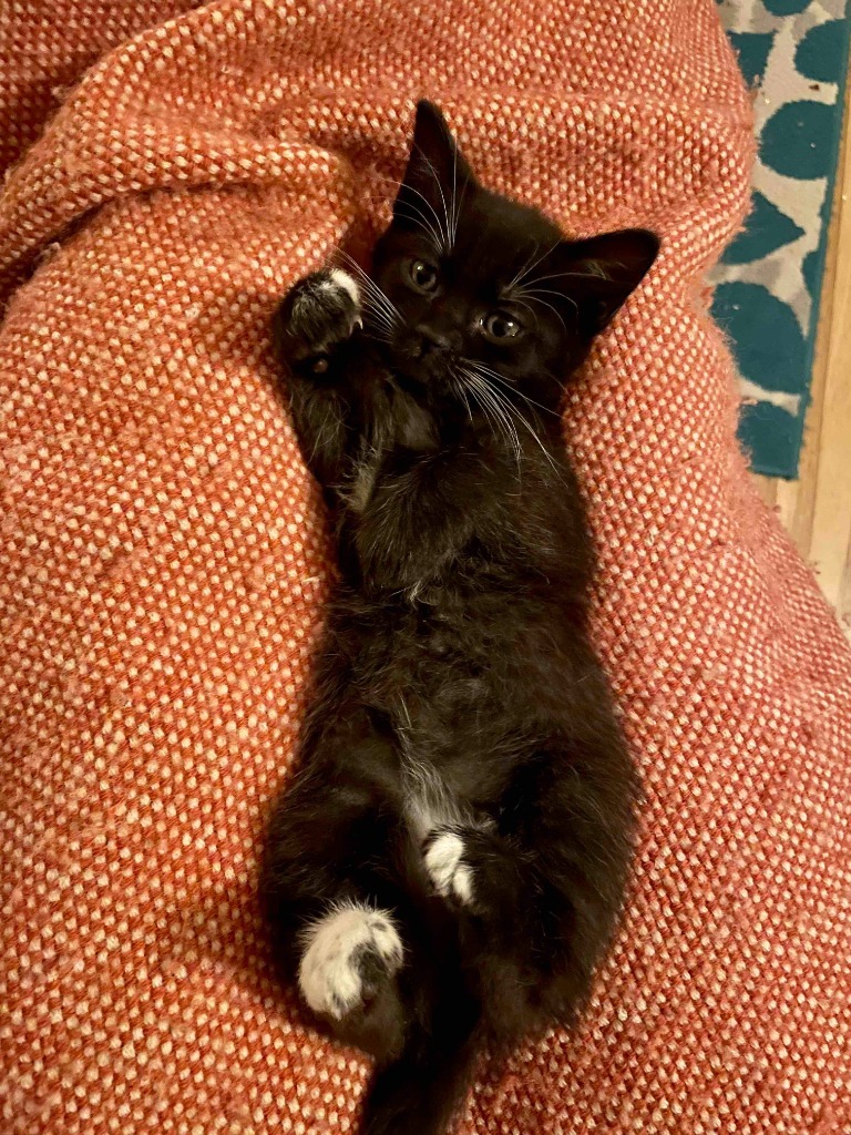 Kenai