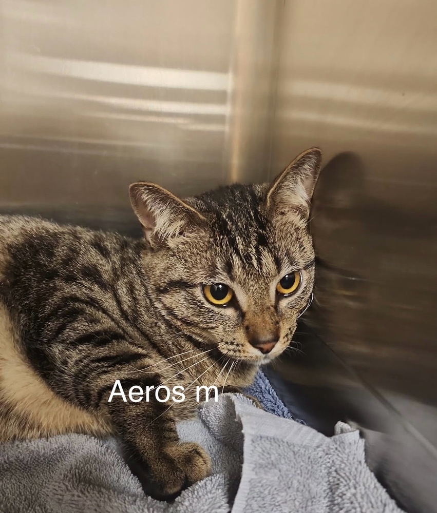 Aeros