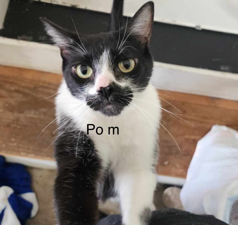 Po