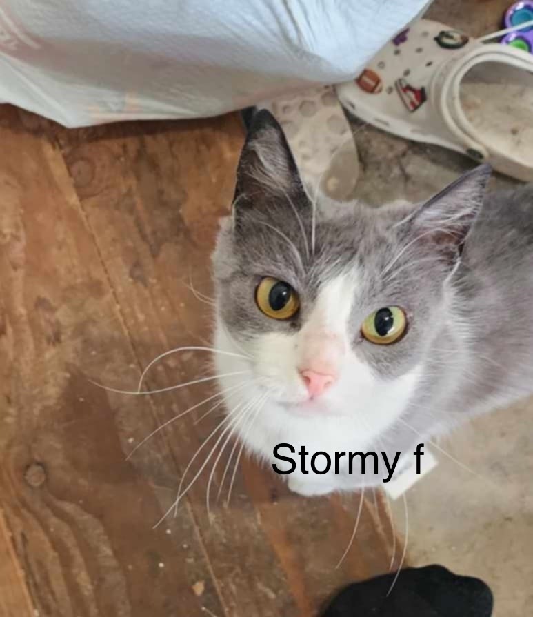 Stormy