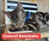 General Thaddeus Koschuzko photo 2