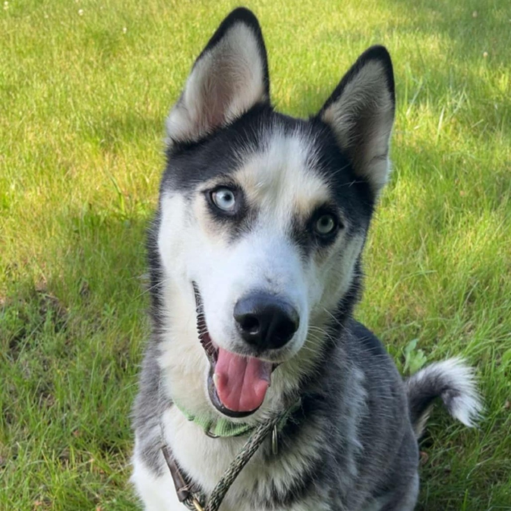 Yukon