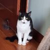 Cosimo