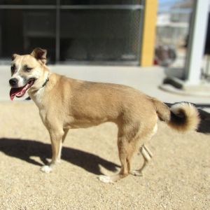 Daisy Lu, Adult Female unknown