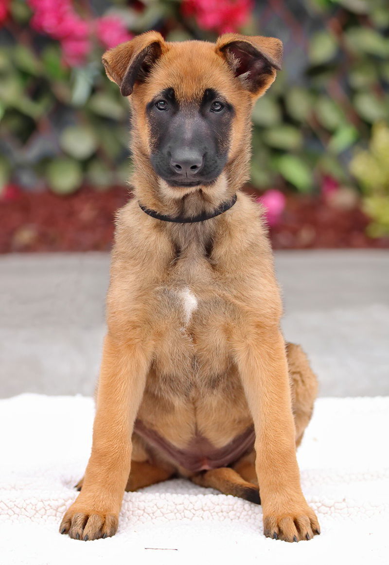 Lulu Von Xena