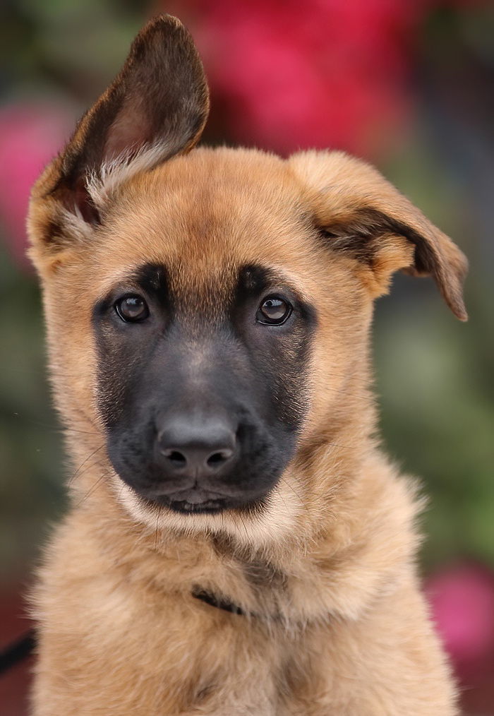 Nova Von Xena