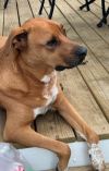 Colby photo 6