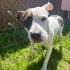 Dottie photo 5